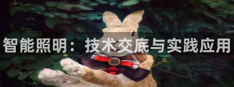 智能照明:技术交底与实践应用